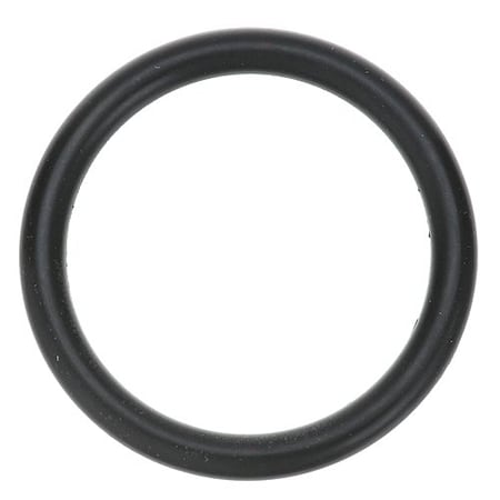 O-Ring, P571146